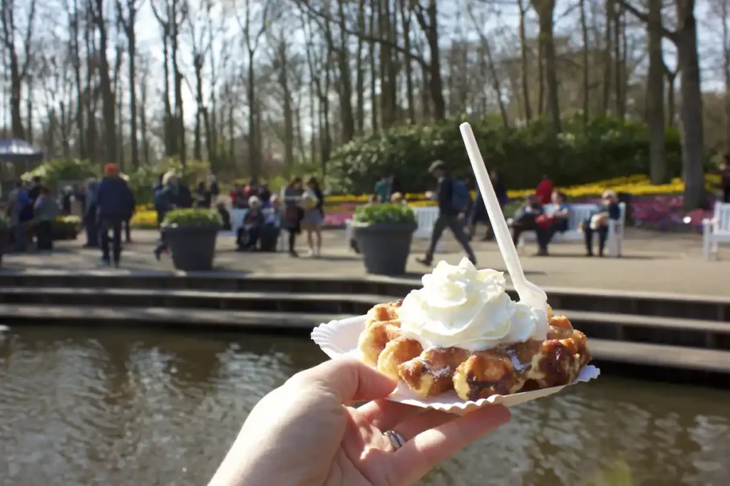 Belgian waffle on a beautiful day Belgian waffle on a beautiful day