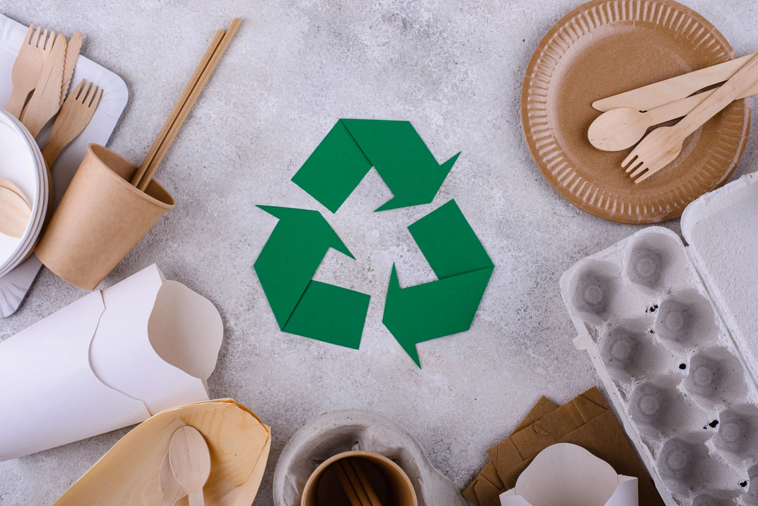 Reusable Eco Friendly Sustainable Food Packaging Systems