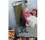 image of Berner ASD36080 Arctic Seal Swinging Doors, 36"W X 80"H