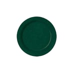 image of GET BF-090-KG Plastic Plate