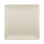 image of GET ECO99SQ-PP Plastic Plate