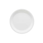image of GET NP-10-DW Plastic Plate