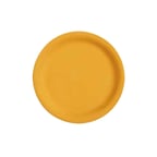 image of GET NP-10-TY Plastic Plate