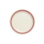 image of GET NP-6-OX Plastic Plate