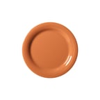 image of GET NP-9-PK Plastic Plate