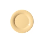 image of GET WP-10-SQ Plastic Plate