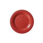 image of GET WP-7-CR Plastic Plate