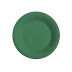image of GET WP-7-FG Plastic Plate