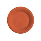 image of GET WP-9-RO Plastic Plate