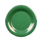 image of Thunder Group CR007GR Plastic Plate