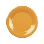 image of Thunder Group CR009YW Plastic Plate