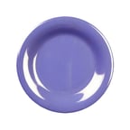 image of Thunder Group CR010BU Plastic Plate