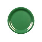image of Thunder Group CR109GR Plastic Plate