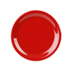 image of Thunder Group CR109PR Plastic Plate