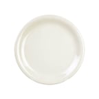 image of Thunder Group CR109V Plastic Plate