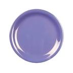 image of Thunder Group CR110BU Plastic Plate