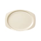 image of Thunder Group NS211T Plastic Platter