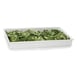 GET CIH1FD-WW Aluminum Food Pan 1 image