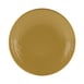 GET D9RR-OO Plastic Plate 1 image