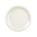 Thunder Group CR109V Plastic Plate 1 image