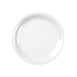 Thunder Group CR110W Plastic Plate 1 image