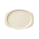 Thunder Group NS211T Plastic Platter 1 image