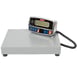Tor-Rey SR-50/100 Baker's Scale 2 image