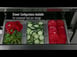 True TWT-67D-2-HC~SPEC3 67" 2-Section Worktop Refrigerator w/ 2 Drawers & 1 Door 2 image