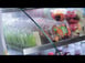 Turbo Air TOM-72EB-N 72" Vertical Open Air Merchandiser in Black, Self-Contained, 4 Shelves, 37.1 cu ft. 3 image