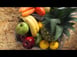 Zummo Z22 20" Countertop Commercial Manuel Feed Centrifugel Multifruit Juicer, 1/2 Gal Per/Min 9 image